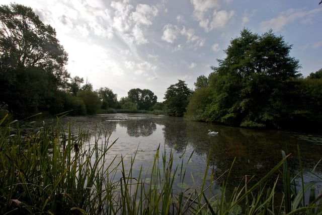 Woods Mill in Henfield has old ponds and a lake, as well as ancient woodland. Wander alongside the streams and waterways into the unimproved meadows with their wild hedgerows – habitats all contained within its 47 acres.