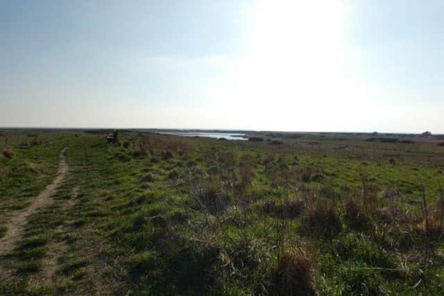 Local artists invited to create new art which will celebrate the RSPB Medmerry Nature Reserve