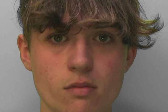 Harry Furlong, 18, was given a 20-month sentence, minus time already spent on remand. He will serve half in custody and half on licence. Photo: Sussex Police