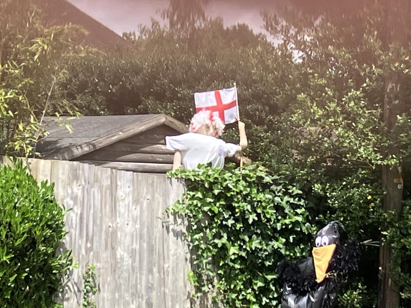 They're everywhere - peeping over fences and among hedging