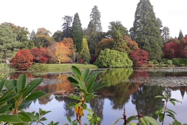 The National Trust's Sheffield Park is a 40 minute drive from Eastbourne and has some of the most spectacular autumn scenes you will see in the country. There are often trails and activities for the children and picnic areas so you can make a day of it.