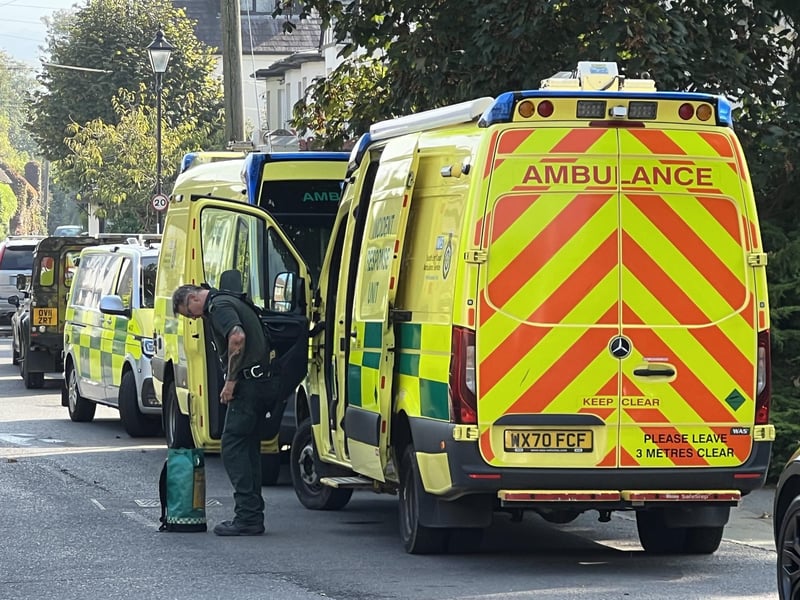 Multiple emergency service crews responded to a 'report that a person had collapsed on a roof' in The Street in Bramber