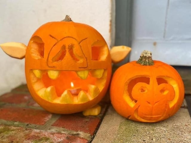 Pumpkin picture provided by Miranda Washington