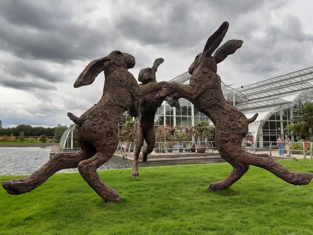 RHS Garden Wisley is a great day out, and it's only just outside of Sussex. Picture: Katherine HM
