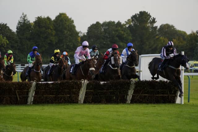 Race 7 The Rapunzel Me Bouncy Blow And Go Novices Limited Handicap Hurdle Race at Fontwell on Friday 30 August 2024. www.polopictures.co.uk Fontwell Arundel Clive Bennett 20240830 ©2024 Clive Bennett Photography 30/08/2024 _CAB7781.JPG : Fontwell Park Ladies' Evening 2024
