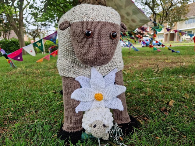 The sheep are happy for children to sit on them