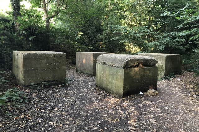 Anti-tank obstacles at Brandy Hole Copse in 2018