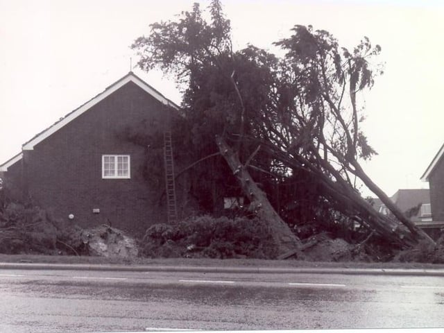 The aftermath of the Great Storm in Eastbourne