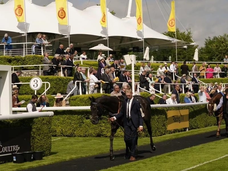 Images from the first day of Goodwood's two-day May meeting