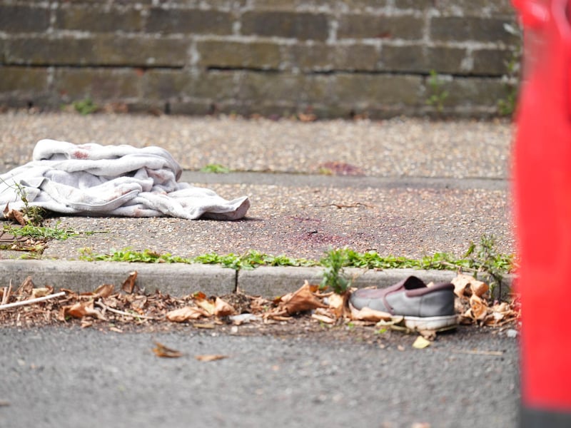 SUSSEX NEWS AND PICTURES - news@sussexnewsandpictures.uk - 012 73 93 02 02
Police have shot and killed two dogs after an elderly man was attacked in the street.