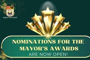 image of Mayor's award details