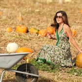 Based at Lychpole Farm just off the A27, family-run picking patch Sompting Pumpkins is open for business again this year. Picture: Eddie Mitchell