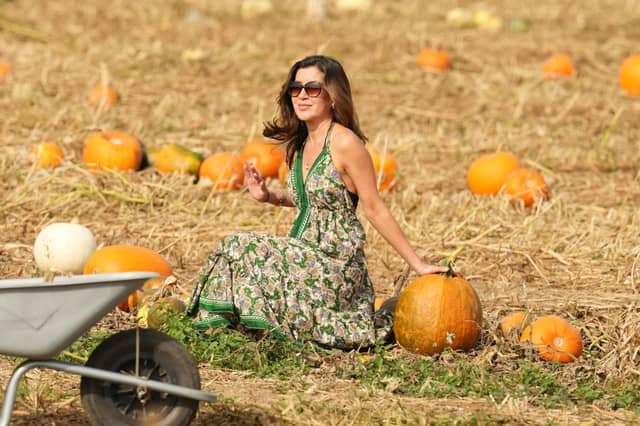 Based at Lychpole Farm just off the A27, family-run picking patch Sompting Pumpkins is open for business again this year. Picture: Eddie Mitchell