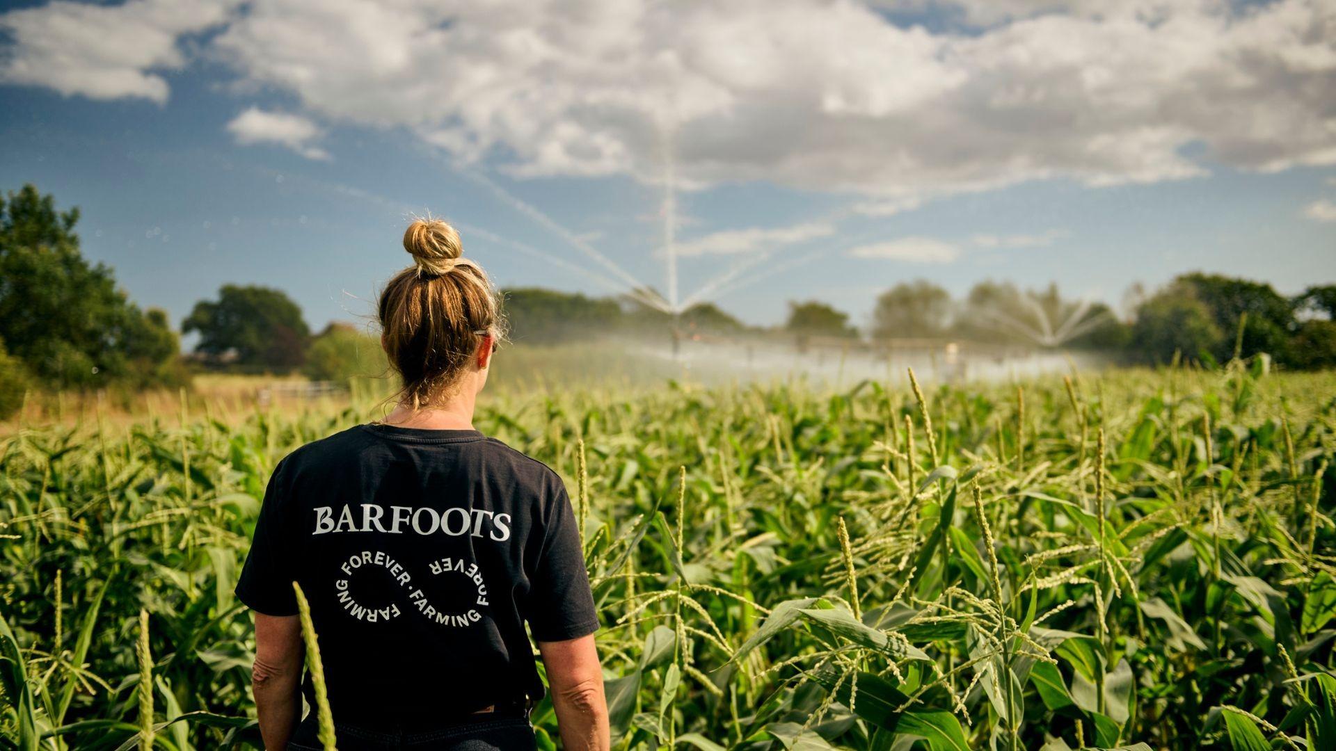 Chichester Cinema brings film and local environmental action together ...