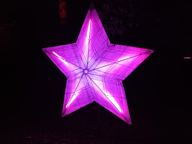 Leonardslee Illuminated is on now and runs on selected dates until December 21, 2023