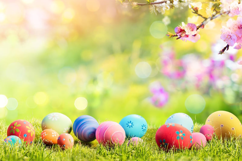 Friends of Worthing Town FC are holding an Easter Eggstravaganza in Palatine Park on Saturday, March 23, from 9am to 2pm. Visit the Easter Bunny in his make and take workshop, join in the Easter egg hunt and vote for your favourite in the Easter Bake Off