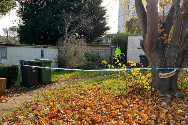 St Leonards: Two arrested on suspicion of attempted murder after man ...