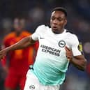 Danny Welbeck of Brighton & Hove Albion is close to agreeing a new contract with the club