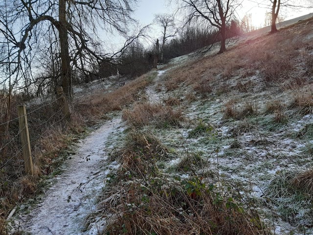 This is an easy path to follow, heading towards woodland ahead.