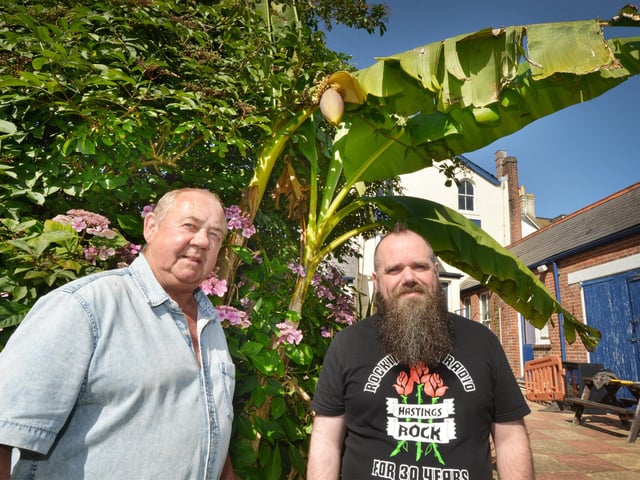 Flowering banana tree at The Clarence pub in Silverhill, St Leonards. L-R: Steve Sivell, pub regular and keen gardener; Steve Widget, pub landlord.