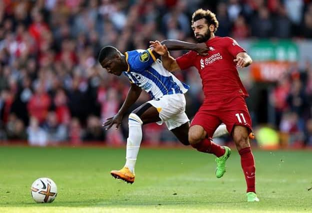 Brighton and Hove Albion will welcome Liverpool to the Amex Stadium today in the Premier League