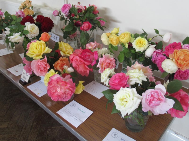 Roses in every shade were on display