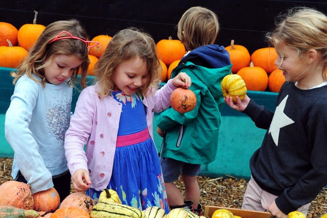 Children enjoying the pumpkins in 2017
