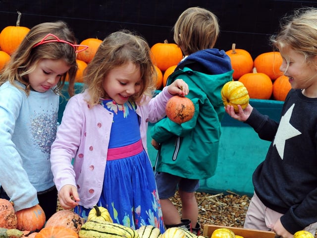 Children enjoying the pumpkins in 2017