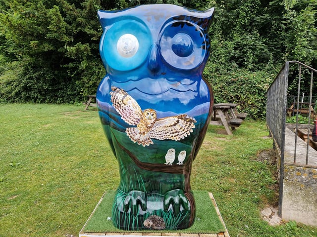 Colourful owls have flown into Arundel as part of the Wild in Art event The Big Hoot trail, raising money for Chestnut Tree House.