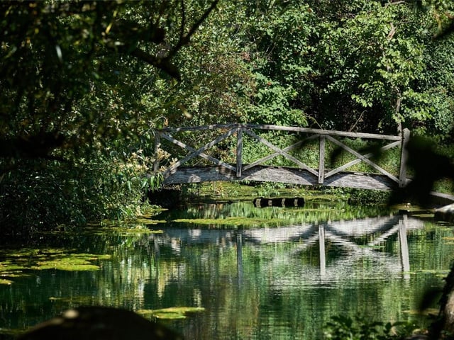 The property's mill pond also has a wonderful bridge