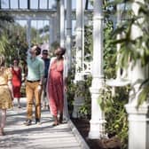 Since the introduction of a £1 entry ticket Kew has welcomed 8000 visitors at Kew Gardens and Wakehurst