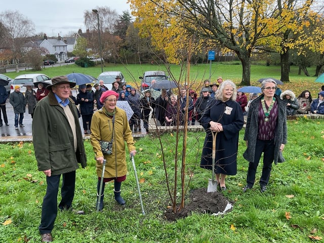 West Sussex has planted more than 151,000 trees as part of the royal campaign