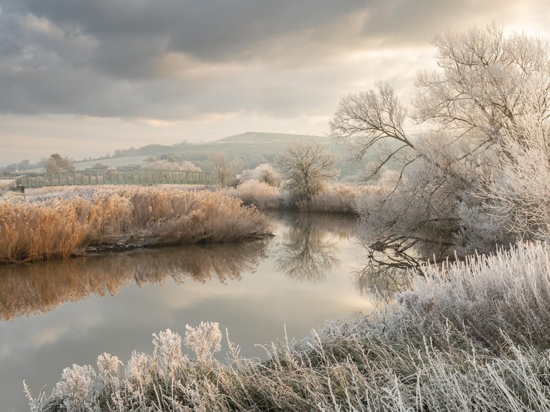 Winter category winner: Hoar Frost at Houghton by Stuart East