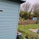 Police are investigating a series of shed break-ins on allotment land in Bexhill