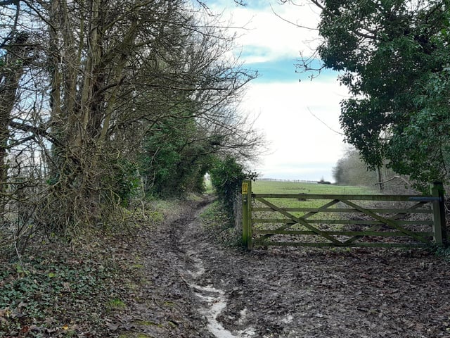 Continue along Monarch's Way, past a gate on your right, and follow the straight footpath.