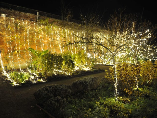 Light up trail in Cowdray.