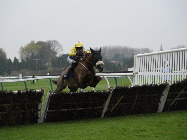 November jump racing at Fontwell Park