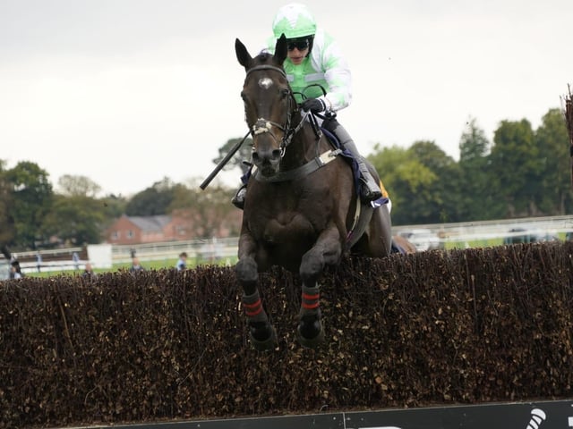 September jump racing at Fontwell Park