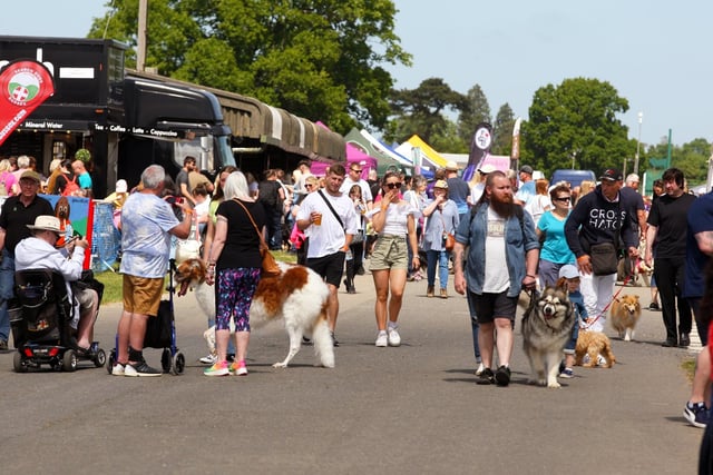 Paws in the Park event at Ardingly. Photo by Derek Martin Photography and Art