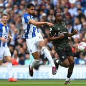 Levi Colwill impressed while on loan at Brighton from Chelsea last term in the Premier League