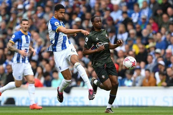 Levi Colwill impressed while on loan at Brighton from Chelsea last term in the Premier League