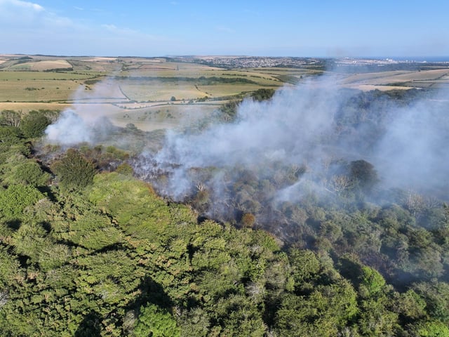 Fire crews worked ‘throughout the night’ to bring a wildfire under control at a beauty spot in Sussex.