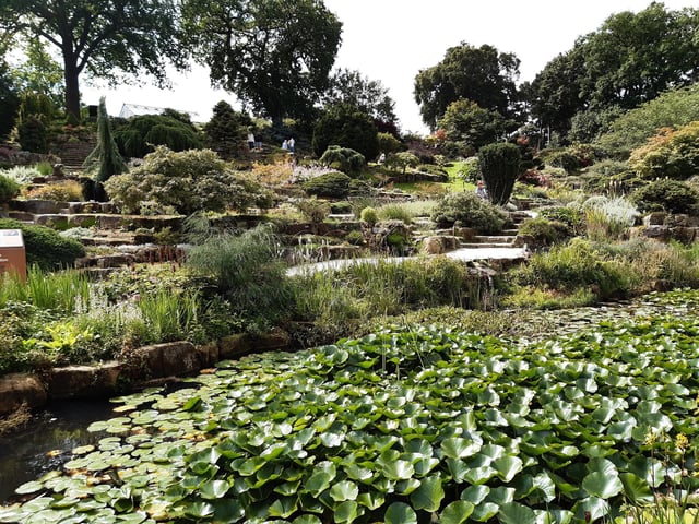 RHS Garden Wisley is a great day out, and it's only just outside of Sussex. Picture: Katherine HM