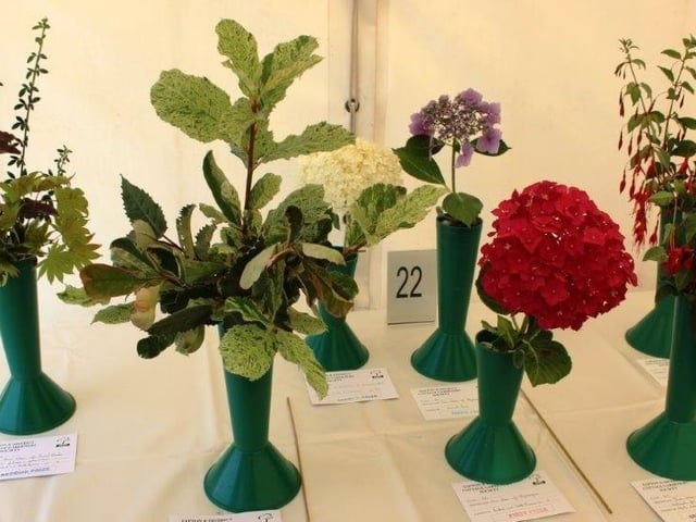 Yapton Cottage Gardeners’ Society midsummer flower and produce show was part of the annual Yapton village celebrations