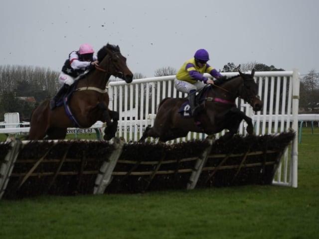 Nemean Lion - furthest from the camera - on his way to winning the National Spirit Hurdle | Picture: Clive Bennett