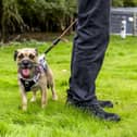 Wadars has launched a fundraising appeal to help transform its new site into a purpose-built centre for animals. Photo: contributed
