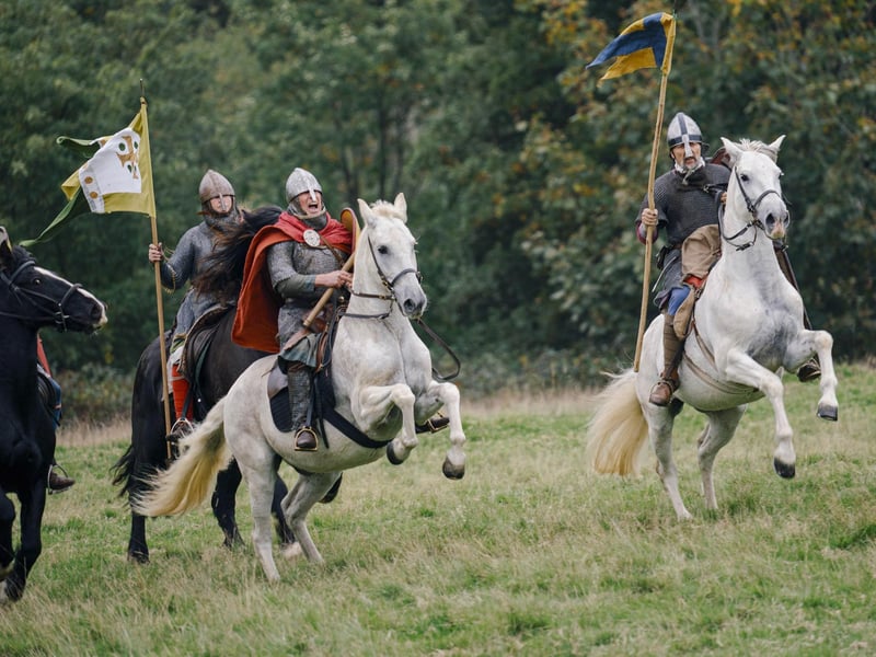 Battle of Hastings reenactment at Battle Abbey 2025. Pic supplied by Tom Arber/English Heritage.