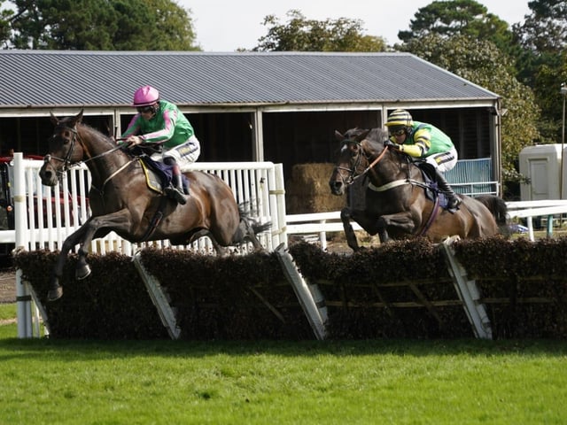 Fontwell Park family fun day September 2024