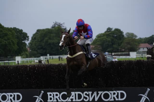 May evening racing at Fontwell Park