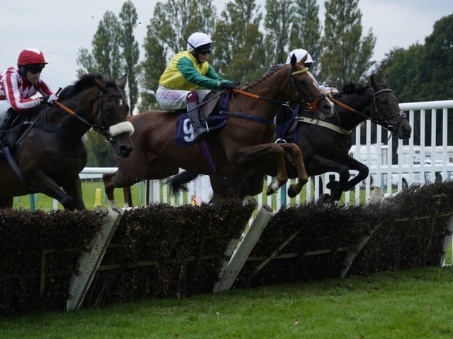 September jump racing at Fontwell Park